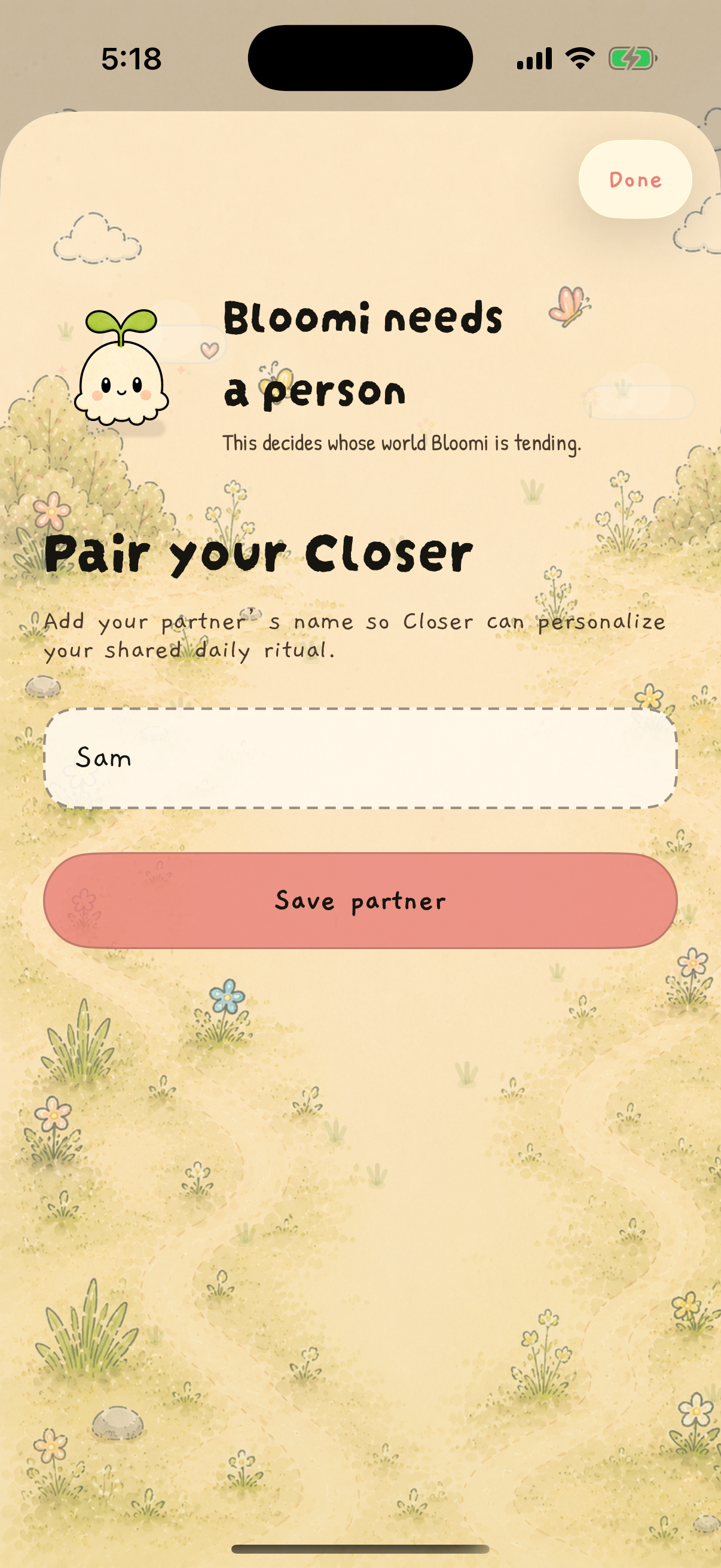 Bloomi partner setup flow